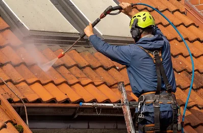 Démoussage et hydrofuge de toiture à Feyzin